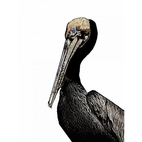 Brown Pelican White Modern Wood Framed Art Print by Ogren, Sarah