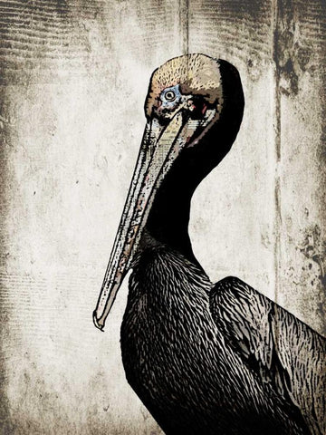 Rustic Brown Pelican Black Ornate Wood Framed Art Print with Double Matting by Ogren, Sarah