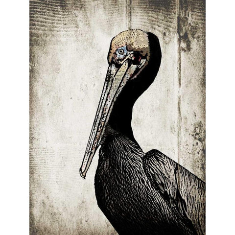 Rustic Brown Pelican White Modern Wood Framed Art Print by Ogren, Sarah