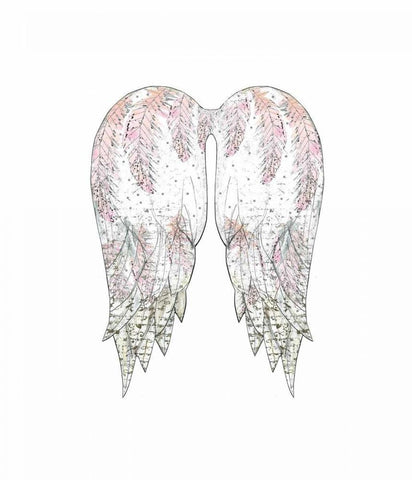 Wings with Pink Feathers Black Ornate Wood Framed Art Print with Double Matting by Ogren, Sarah