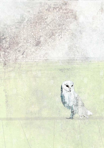 Turquoise Owl White Modern Wood Framed Art Print with Double Matting by Ogren, Sarah