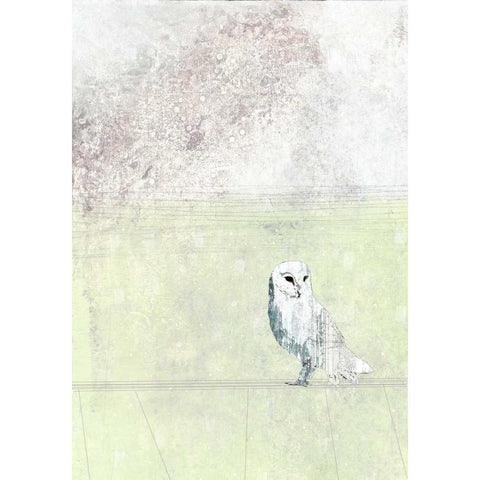 Turquoise Owl Black Modern Wood Framed Art Print with Double Matting by Ogren, Sarah