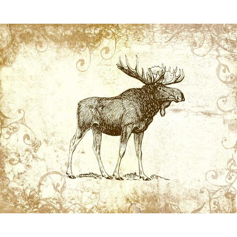 Brown Moose Gold Ornate Wood Framed Art Print with Double Matting by Moss, Tara