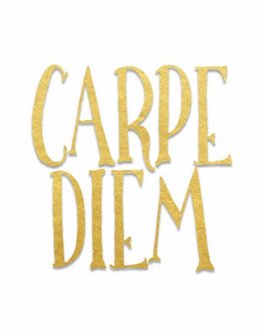 Carpe Diem Black Ornate Wood Framed Art Print with Double Matting by Moss, Tara