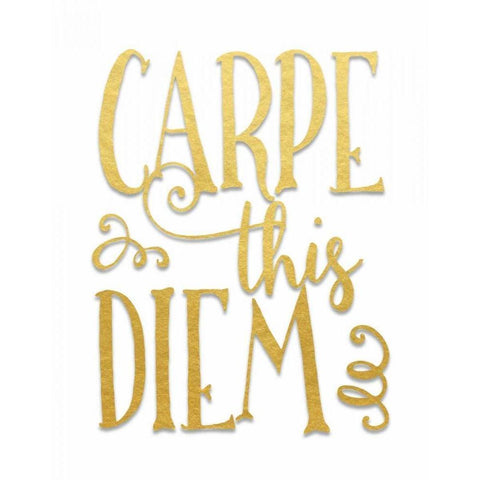 Carpe This Diem Black Modern Wood Framed Art Print by Moss, Tara