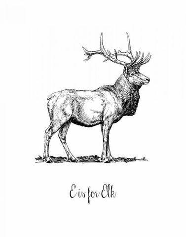 E is for Elk White Modern Wood Framed Art Print with Double Matting by Moss, Tara