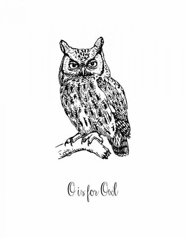 O is for Owl Black Ornate Wood Framed Art Print with Double Matting by Moss, Tara