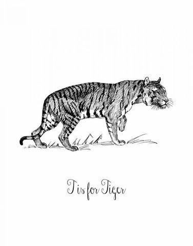 T is for Tiger Black Ornate Wood Framed Art Print with Double Matting by Moss, Tara