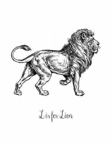 L is for Lion White Modern Wood Framed Art Print with Double Matting by Moss, Tara