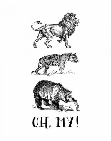 Lion Tiger Bear - Oh My! White Modern Wood Framed Art Print with Double Matting by Moss, Tara