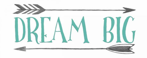 Dream Big Arrow White Modern Wood Framed Art Print with Double Matting by Moss, Tara