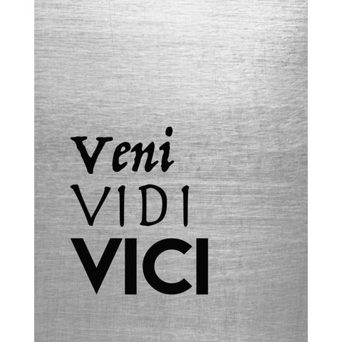 Veni Vidi Vici White Modern Wood Framed Art Print by Moss, Tara