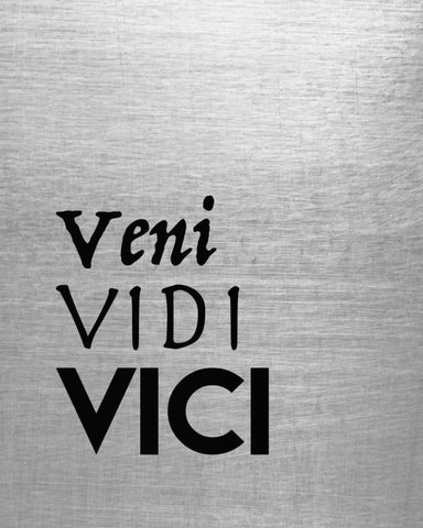 Veni Vidi Vici Black Ornate Wood Framed Art Print with Double Matting by Moss, Tara