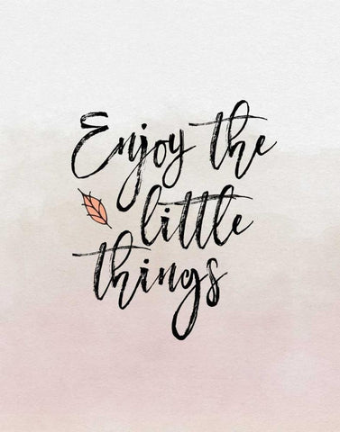 Enjoy the Little Things White Modern Wood Framed Art Print with Double Matting by Moss, Tara