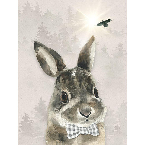 Baby Boy Hare Black Modern Wood Framed Art Print with Double Matting by Moss, Tara