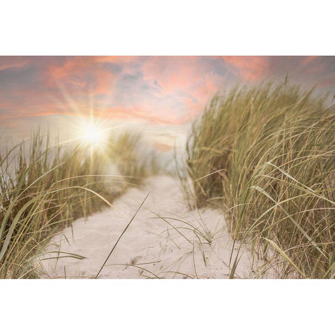 Beach Grass and Sun White Modern Wood Framed Art Print by Moss, Tara