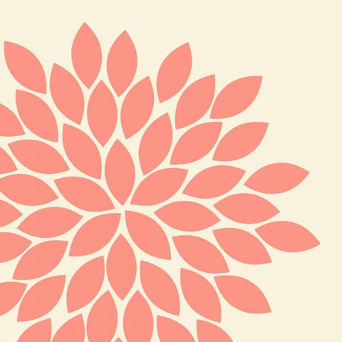 Flower Burst I White Modern Wood Framed Art Print with Double Matting by Robinson, Tamara