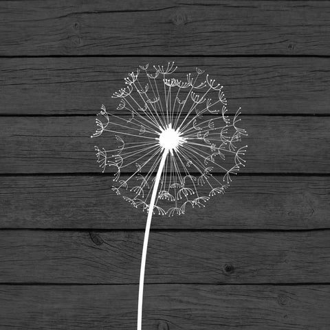 Grey Dandelion I White Modern Wood Framed Art Print with Double Matting by Robinson, Tamara