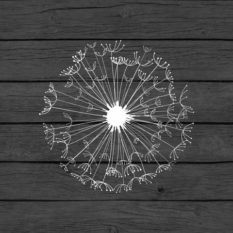 Grey Dandelion II White Modern Wood Framed Art Print with Double Matting by Robinson, Tamara