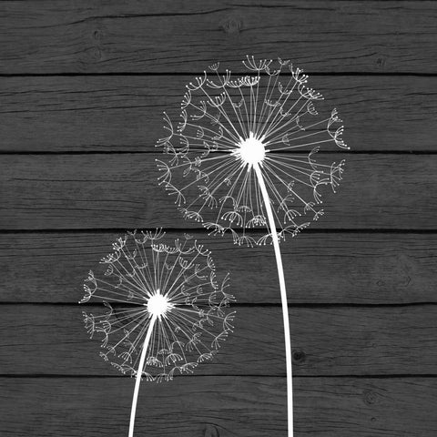 Grey Dandelion III Black Modern Wood Framed Art Print by Robinson, Tamara