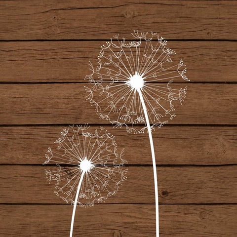 Brown Dandelion III Black Modern Wood Framed Art Print with Double Matting by Robinson, Tamara