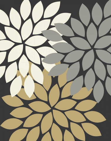 Trio Flower Burst II White Modern Wood Framed Art Print with Double Matting by Robinson, Tamara