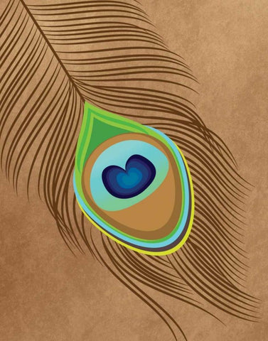 Peacock Feather III White Modern Wood Framed Art Print with Double Matting by Robinson, Tamara