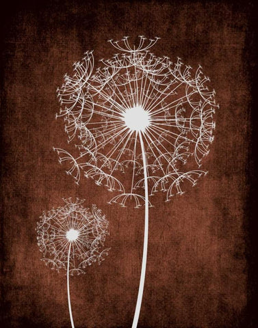 Dandelion on Brown Black Ornate Wood Framed Art Print with Double Matting by Robinson, Tamara