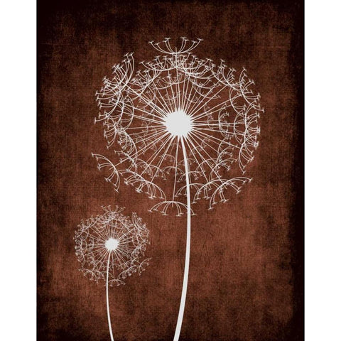 Dandelion on Brown Black Modern Wood Framed Art Print by Robinson, Tamara