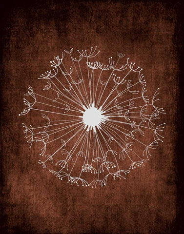 Dandelion on Brown II White Modern Wood Framed Art Print with Double Matting by Robinson, Tamara