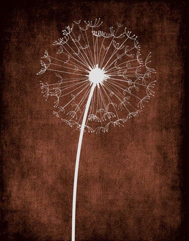 Dandelion on Brown III Black Ornate Wood Framed Art Print with Double Matting by Robinson, Tamara