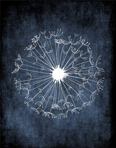 Dandelion on Blue  White Modern Wood Framed Art Print with Double Matting by Robinson, Tamara