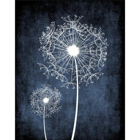 Dandelion on Blue II Black Modern Wood Framed Art Print with Double Matting by Robinson, Tamara