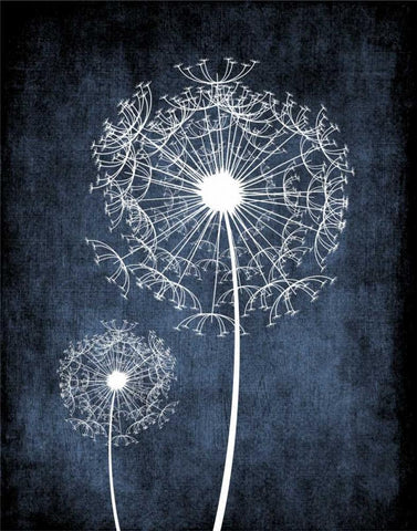 Dandelion on Blue II White Modern Wood Framed Art Print with Double Matting by Robinson, Tamara