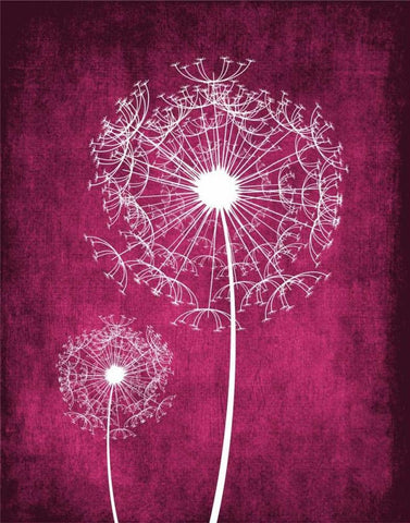 Grunge Dandelion White Modern Wood Framed Art Print with Double Matting by Robinson, Tamara