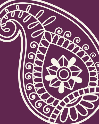 Paisley Feather IV White Modern Wood Framed Art Print with Double Matting by Robinson, Tamara