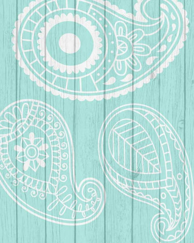 Paisley II White Modern Wood Framed Art Print with Double Matting by Robinson, Tamara