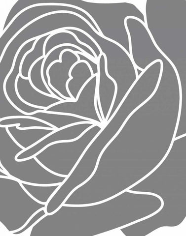 Zoom Flower III White Modern Wood Framed Art Print with Double Matting by Robinson, Tamara