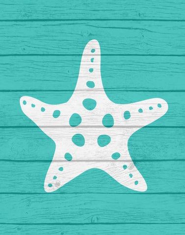 Star Fish White Modern Wood Framed Art Print with Double Matting by Robinson, Tamara