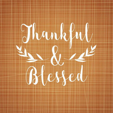 Thankful and Blessed White Modern Wood Framed Art Print with Double Matting by Robinson, Tamara
