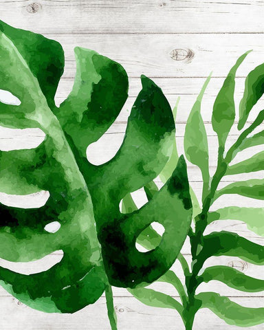 Banana Leaf III White Modern Wood Framed Art Print with Double Matting by Robinson, Tamara