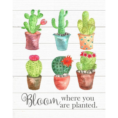 Bloom Where You Are Planted Black Modern Wood Framed Art Print with Double Matting by Robinson, Tamara