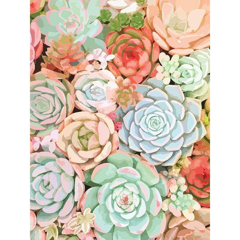 Succulent Black Modern Wood Framed Art Print with Double Matting by Robinson, Tamara