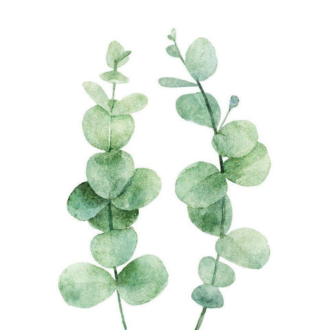 Eucalyptus Black Modern Wood Framed Art Print with Double Matting by Robinson, Tamara