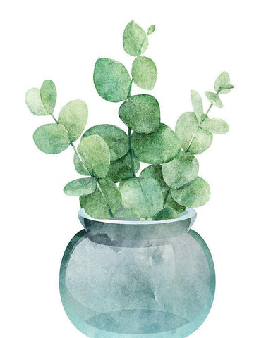 Eucalyptus II White Modern Wood Framed Art Print with Double Matting by Robinson, Tamara