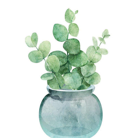 Eucalyptus II White Modern Wood Framed Art Print by Robinson, Tamara