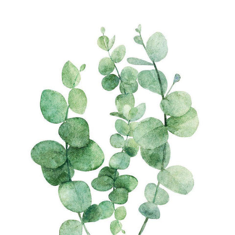 Eucalyptus III Black Modern Wood Framed Art Print by Robinson, Tamara