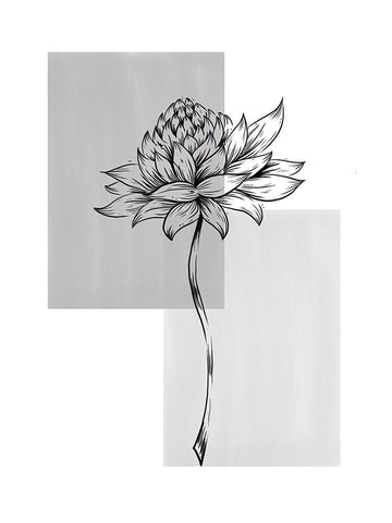 Botanical Rectangle II Black Ornate Wood Framed Art Print with Double Matting by Dundon, Denise
