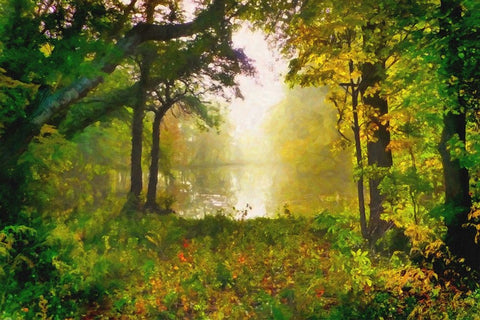 Morning Mist Black Modern Wood Framed Art Print by Dundon, Denise