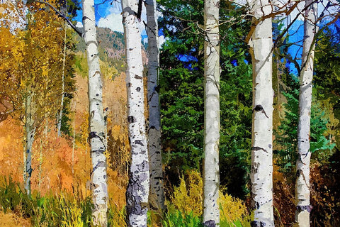 Aspen Grove Black Modern Wood Framed Art Print by Dundon, Denise